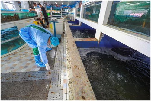 红旗农贸市场海产品批发市场全员进行核酸检测